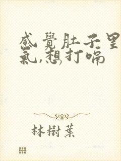 感觉肚子里很胀气,想打嗝