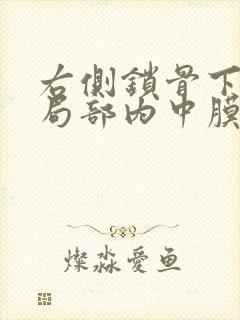 右侧锁骨下动脉局部内中膜增厚