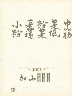 小麦粉是中筋面粉还是低筋面粉