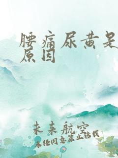 腰痛尿黄是什么原因