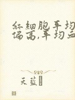 红细胞平均体积偏高,平均血红蛋白浓度偏低