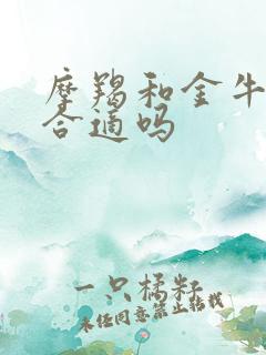 摩羯和金牛配对合适吗