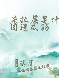 老拉屎是什么原因造成的