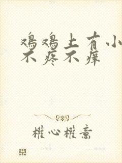 鸡鸡上有小疙瘩不疼不痒