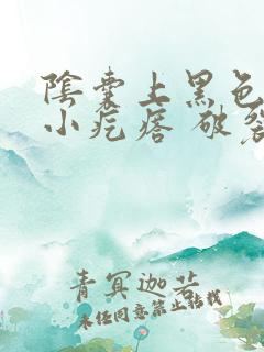 阴囊上黑色凸起小疙瘩 破裂出血