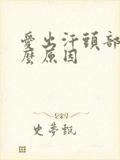 爱出汗头部是什么原因