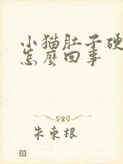 小猫肚子硬硬的怎么回事