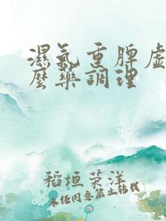 湿气重脾虚吃什么药调理