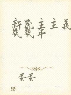 新民主主义革命几几年