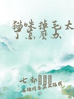 猫咪掉毛太严重了怎么办