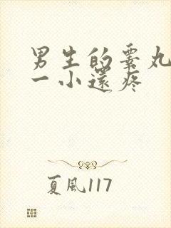 男生的睾丸一大一小还疼