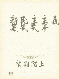 新民主主义革命是几几年