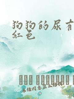 狗狗的尿有点淡红色