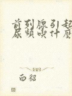 前列腺引起尿急尿频吃什么药调理