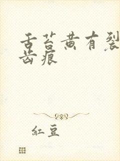 舌苔黄有裂纹有齿痕