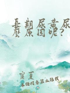 长期尿黄尿是什么原因呢?