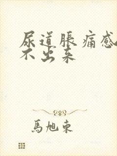 尿道胀痛感觉尿不出来