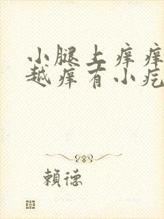 小腿上痒痒越挠越痒有小疙瘩