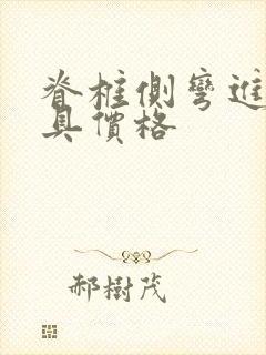 脊椎侧弯进口支具价格