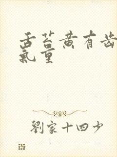 舌苔黄有齿痕湿气重