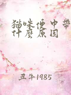 猫咪便中带血是什么原因