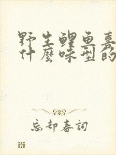 野生鲤鱼喜欢吃什么味型的饵料