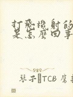 打飞机射的很快是怎么回事