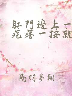 肛门边上一个小疙瘩一按就疼