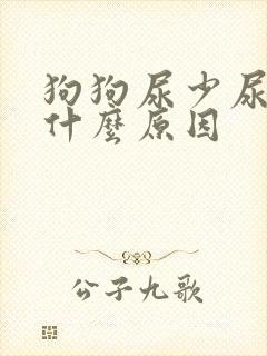 狗狗尿少尿黄是什么原因