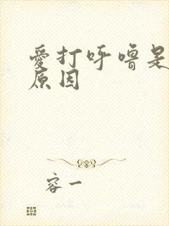 爱打呼噜是什么原因