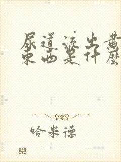 尿道流出黄色的东西是什么