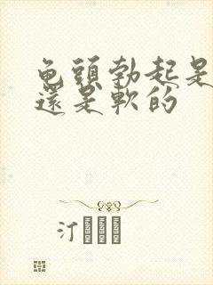 龟头勃起是硬的还是软的