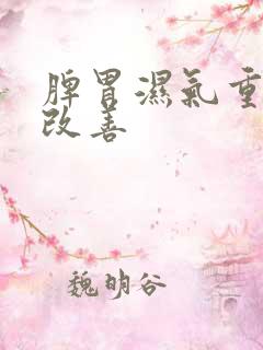 脾胃湿气重如何改善