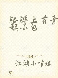 胳膊上有青色凸起小包