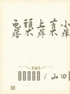 龟头上有小红疙瘩不疼不痒是怎么回事