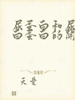 尿蛋白和尿微量白蛋白的关系