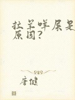 拉羊咩屎是什么原因?