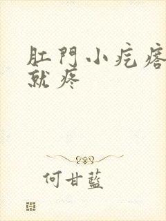 肛门小疙瘩一碰就疼