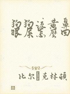 狗狗流黄鼻涕有眼屎怎么回事