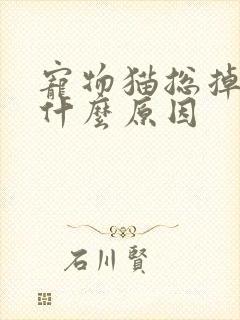 宠物猫总掉毛是什么原因