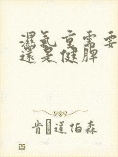 湿气重需要补脾还是健脾