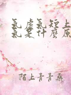 气虚气短上不来气是什么原因