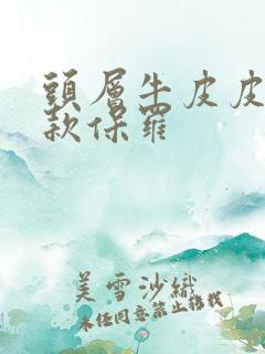 头层牛皮皮带男款保罗