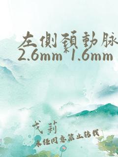 左侧颈动脉斑块2.6mm*1.6mm