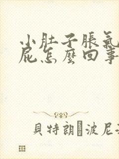 小肚子胀气老放屁怎么回事