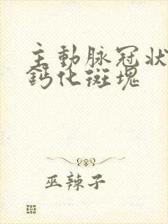 主动脉冠状动脉钙化斑块