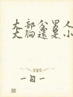 大部分男人喜欢大胸还是小胸