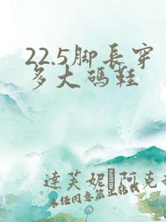 22.5脚长穿多大码鞋