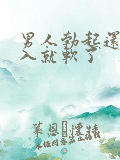 男人勃起还没插入就软了