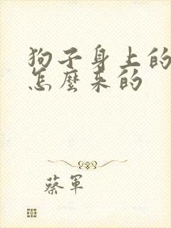 狗子身上的蜱虫怎么来的